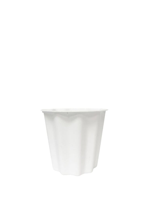 5.5 Inch White Bucket Plastic Pot 6D x 5.5H -- 96 Per Case