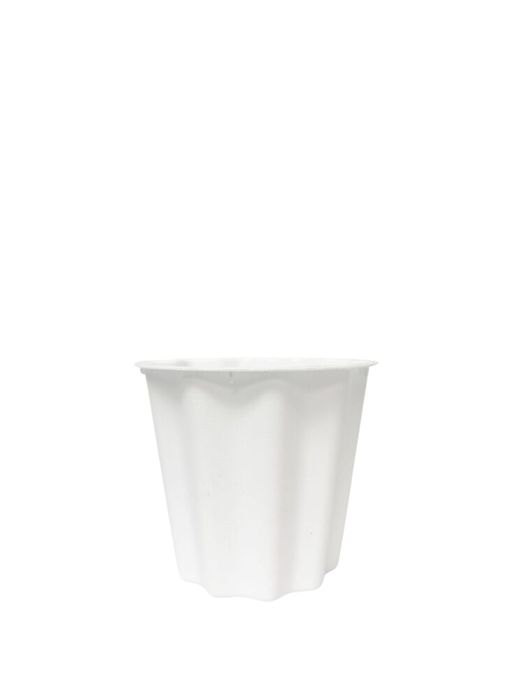 6 Inch White Bucket Plastic Pot 7D x 6H -- 72 Per Case